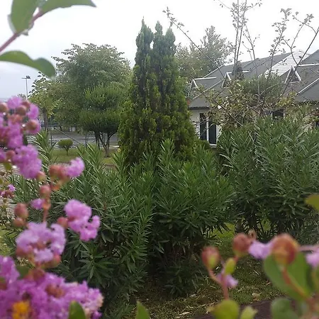 Emexotel 5* Коджаэли